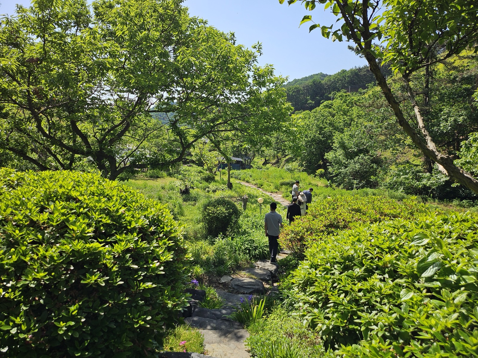 자연과 정원 1